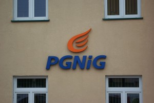 logo pgnig