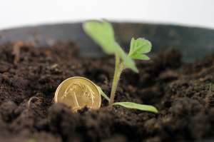 Kurs złotego, ile kosztuje euro, dolar, funt i frank