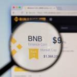 Lupa skierowana na stronę internetową z notowaniami tokena Binance Coin (BNB)