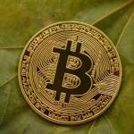 Bitcoin na liściach